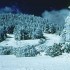 Glade Skiing Action